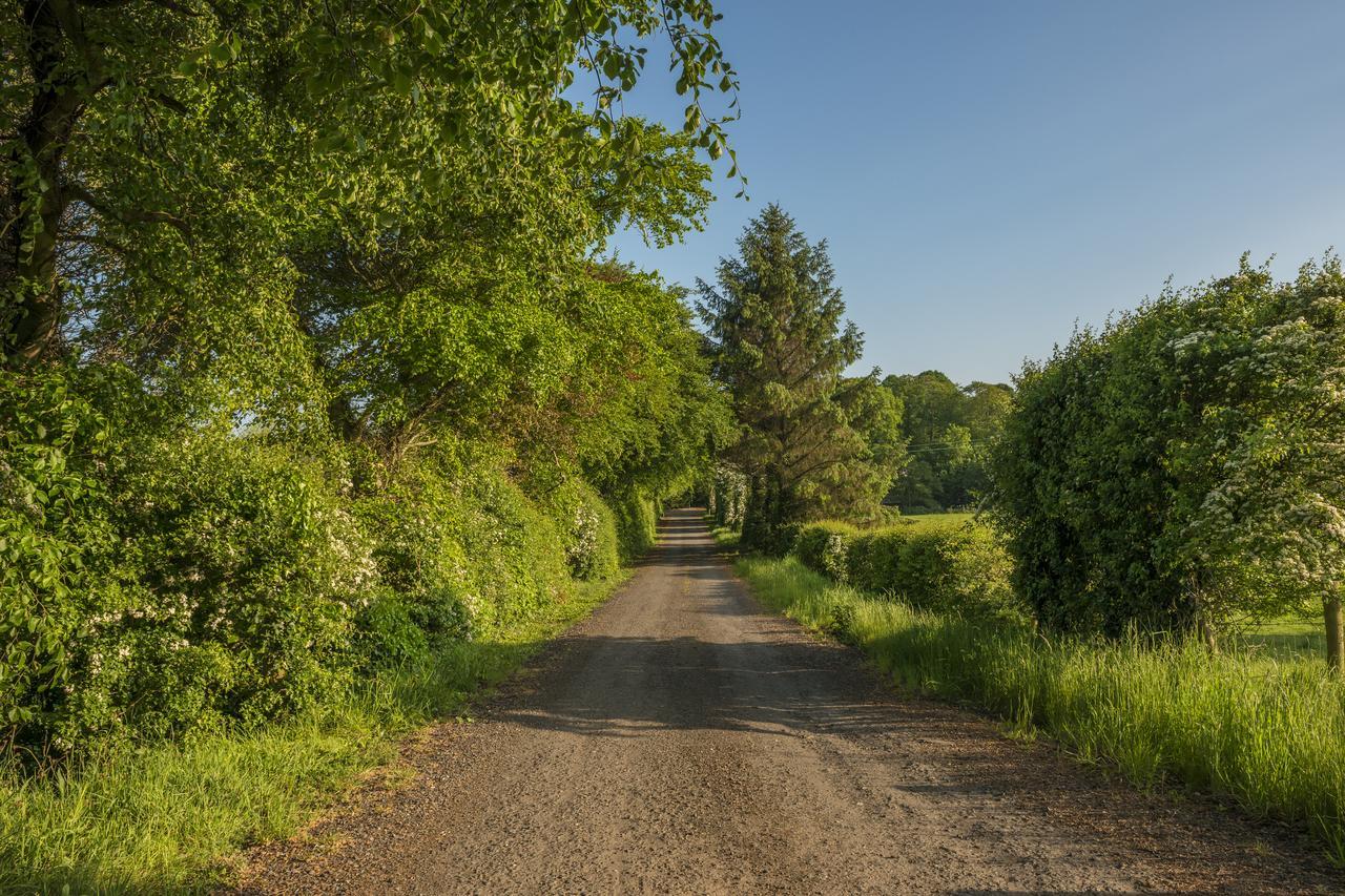 Mill Lodge B&B Banbridge Εξωτερικό φωτογραφία